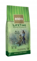  Enova LifeTime Maintenance