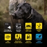 Dogtra 1900X