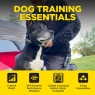 Dogtra 280-X