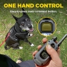 Dogtra 280-X