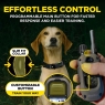 Dogtra ARC-X