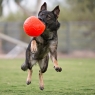 JOLLY SOCCER BALL (Сокер Болл)