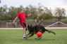 JOLLY SOCCER BALL (Сокер Болл)