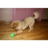 Мяч гелевый Treat Dispensing Chew Ball