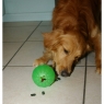 Мяч гелевый Treat Dispensing Chew Ball
