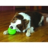 Мяч гелевый Treat Dispensing Chew Ball
