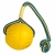 Мяч Fetch Ball Swing ‘n Fling на веревке